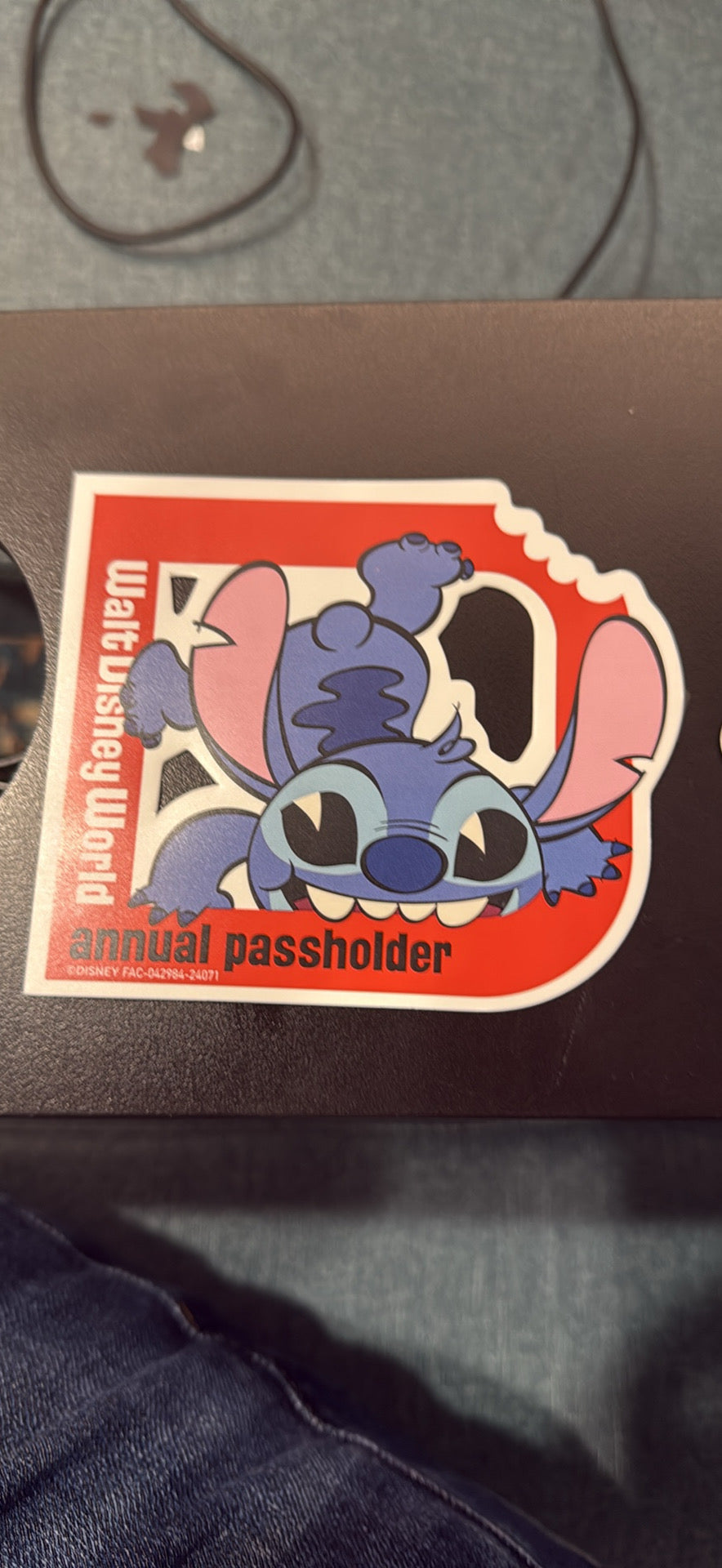 WDW MAGNETS
