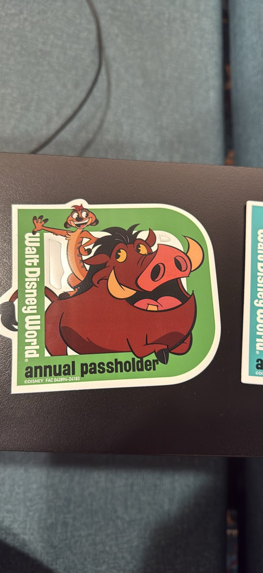 WDW MAGNETS