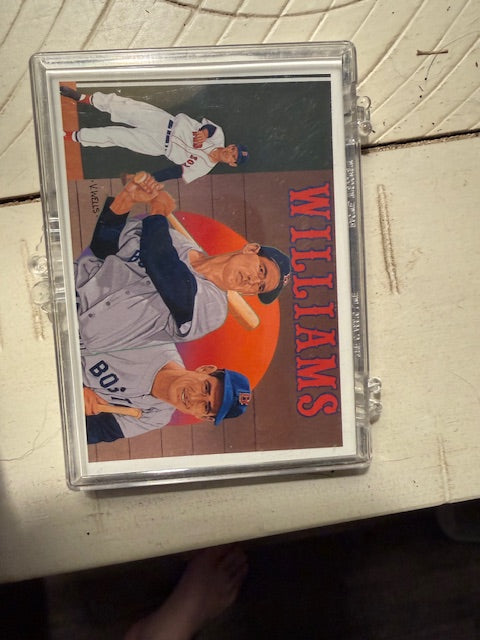 TED Williams