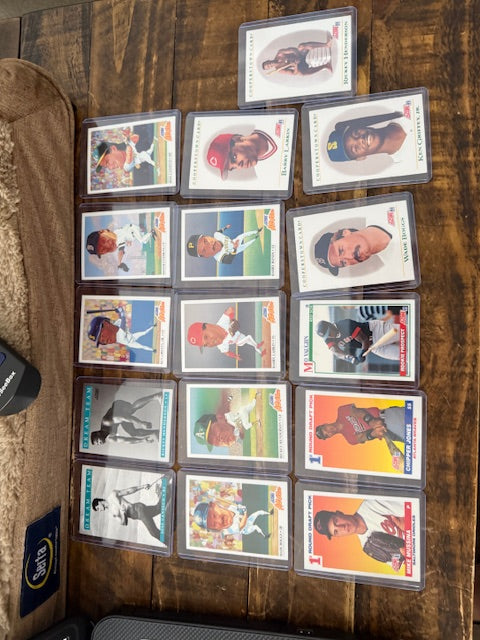 1991 SCORE