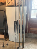 SKIIS