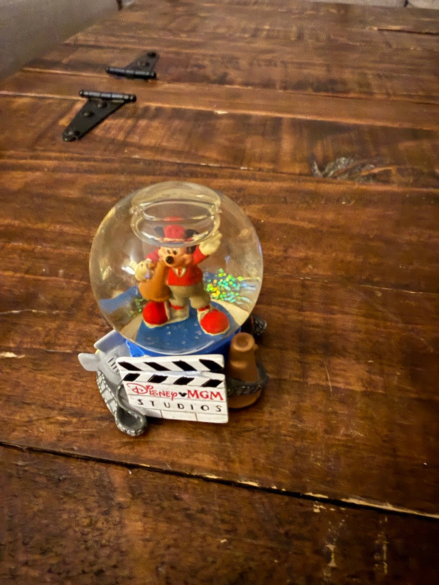 DISNEY SNOWGLOBES