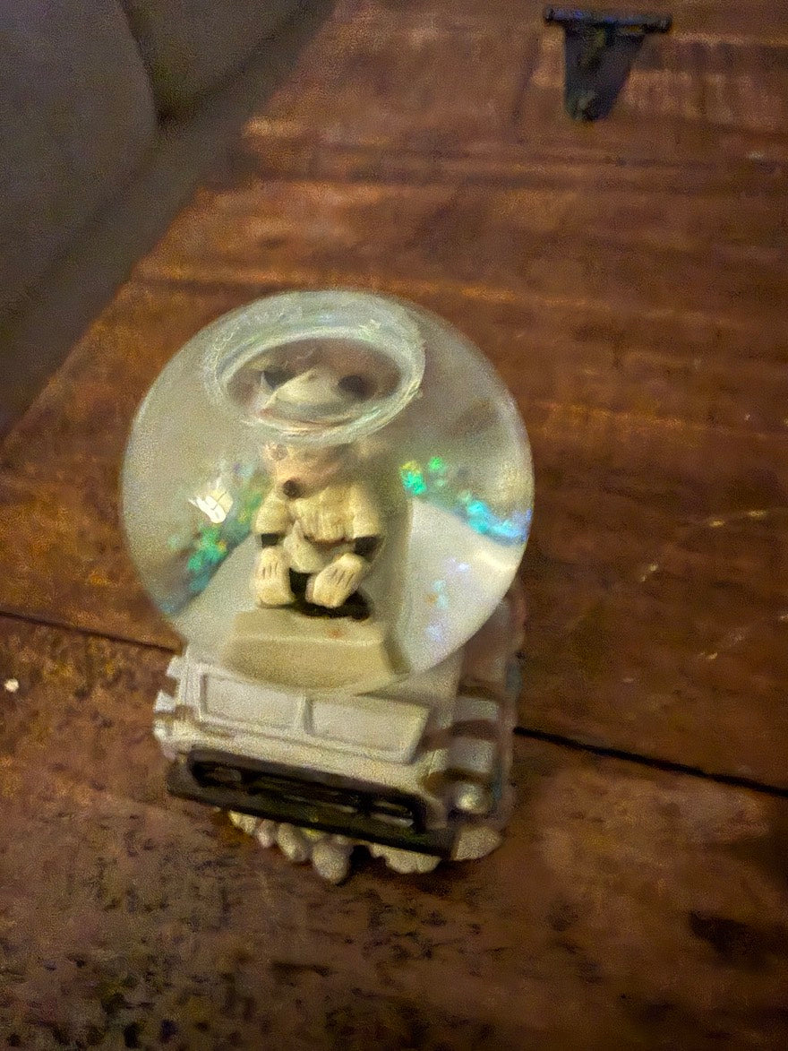 DISNEY SNOWGLOBES