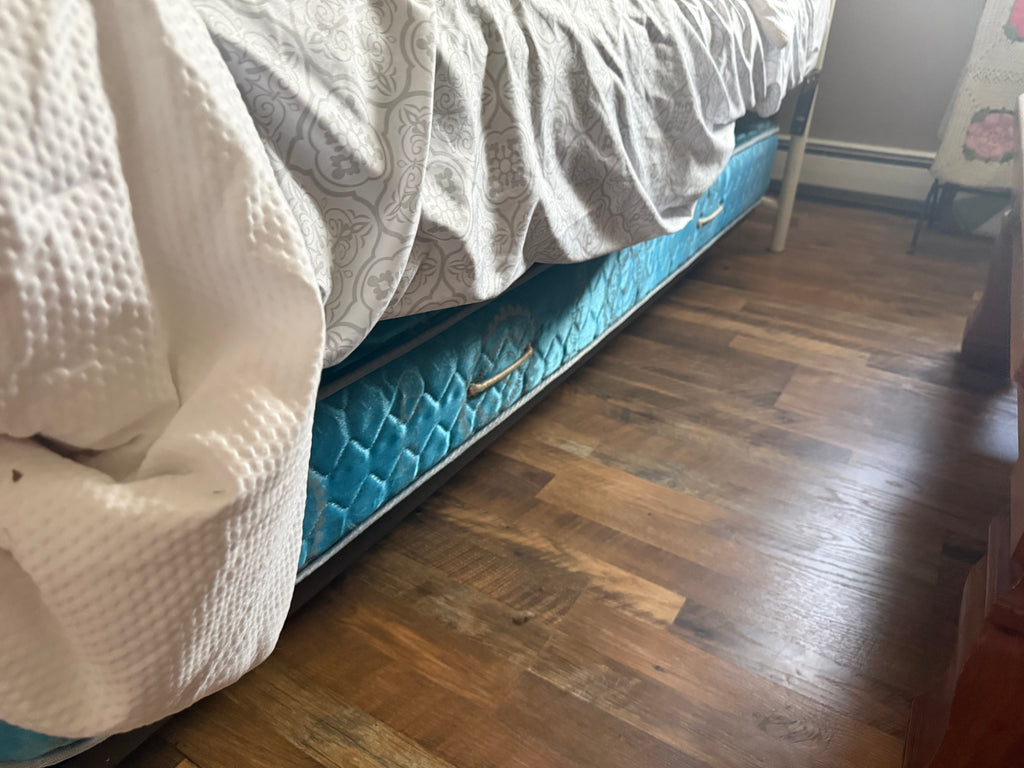 Daybed with Twin Trundle