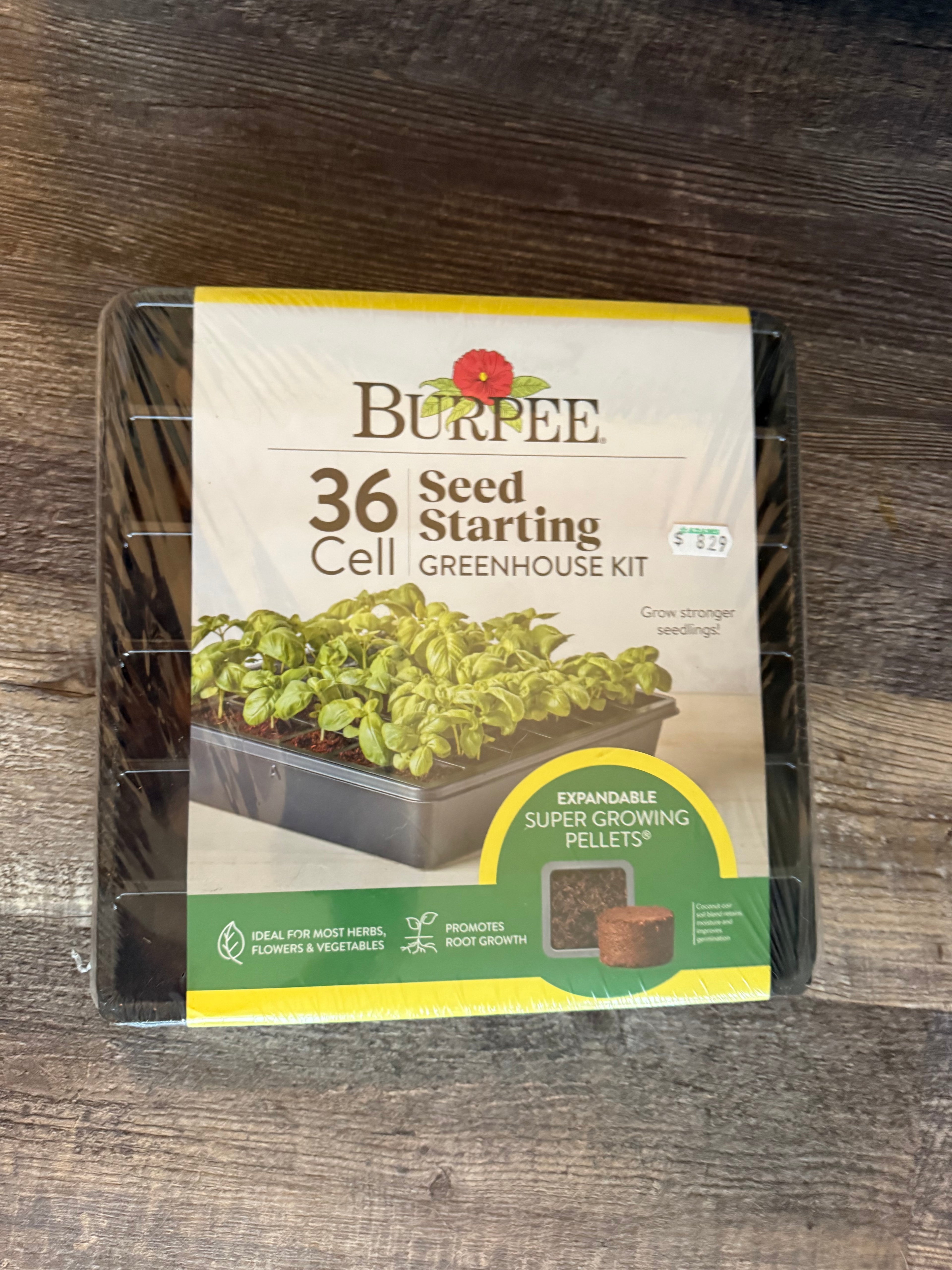 Seeds